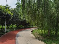 -绿堤公园