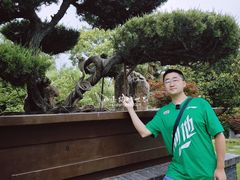 -泰州凤城河风景区-泰山公园