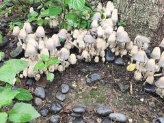 -丝绸小镇荻港古村