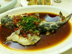 -金龙渔港(双楠店)