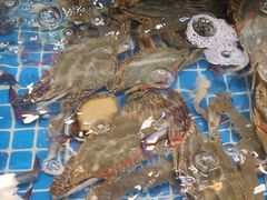 -好人家海鲜酒楼(淞南路店)