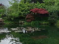 -中国茶叶博物馆(双峰馆区)