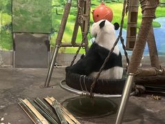 -柳州市动物园