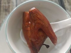 -东鸽皇(奥园·中环广场店)