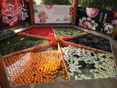 -郑州银基黄帝宫御温泉