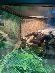 -酷嗒动物文化乐园(cutezoo西溪乐天城店)