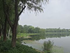 -北坞公园