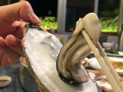 姜酒生蚝-蠔爺王志德生蚝馆(金沙湾店)