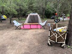 -森林公园(尖草坪区)