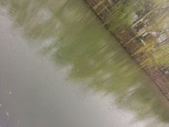 android_upload_pic-湖北经济学院-图书馆