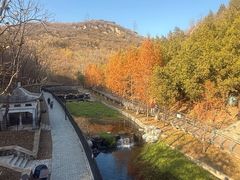 -白水寺森林公园