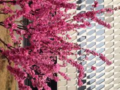 iphone_upload_pic-北京园博大酒店