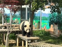 -苏州太湖国家湿地公园