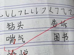 -赵汝飞练字硬笔书法(静安寺校区)