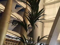 -迪拜帆船酒店海底餐厅