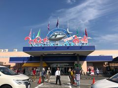 门面-海鮮寿司とれとれ市場