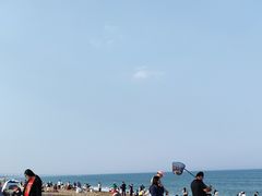 -日照海滨国家森林公园