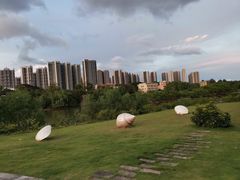 -大亚湾红树林城市湿地公园