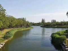 -大兴滨河森林公园