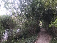 -新江湾城公园