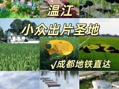 -老鼎万春卤菜(五代传承创始老店)