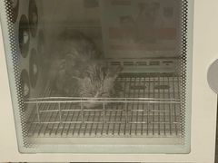 -宠福鑫康馨动物医院·骨科·眼科