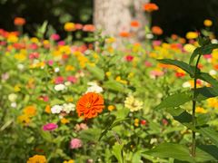 -长春市南湖公园