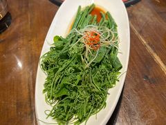清炒豌豆尖-懒人盐府人家·自贡大麻鱼(安贞店)