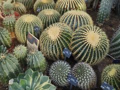 -国家植物园南园