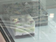 -山与蓝·轻糖鲜果蛋糕(勒泰店)