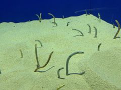 -上海海洋水族馆