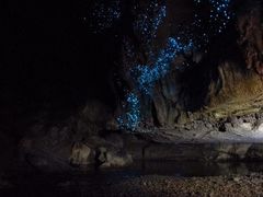 -怀托摩萤火虫洞