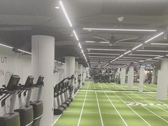 -TMG潮流健身(奥体莲荷里店)