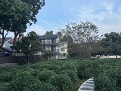 -西湖茶墅