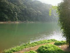android_upload_pic-广州市石门国家森林公园
