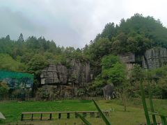 -梭布垭石林景区