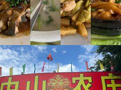 -悦城龙母祖庙