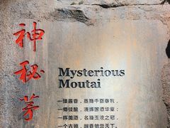 -中国酒文化城
