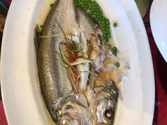 清蒸大白丝-食为先庐畔渔歌(合作化路店)