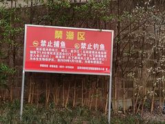 -中国宜宾·长江地标广场