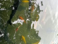 -杭州植物园