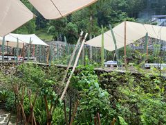 -MOJ coffee(瓯海泽雅水碓坑店)