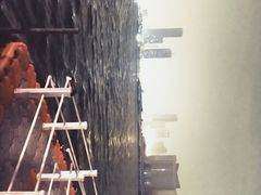 -海河外滩公园