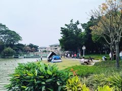 -顺峰山公园
