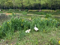 -月牙潭公园