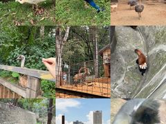 -昆明动物园