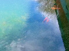 -东华门大街小区