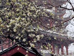 -采石矶景区