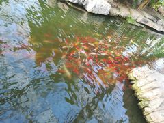 -南通洲际绿博园