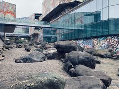 -四川美术学院美术馆